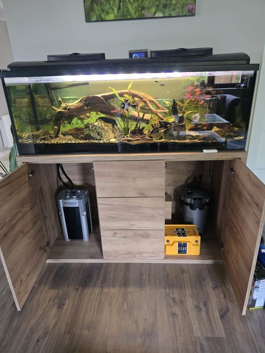 Akwarium z wyposażeniem