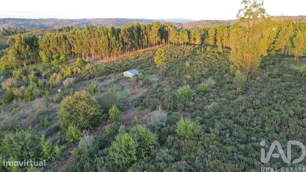Terreno Agrícola em Paranhos