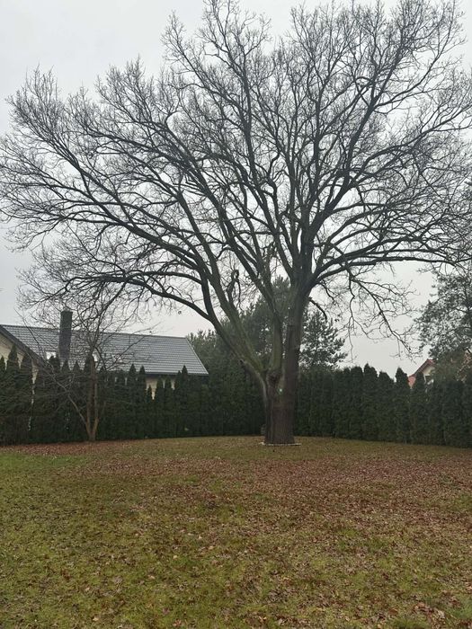 Sprzedam dom Grabina obok jeziora, Płock