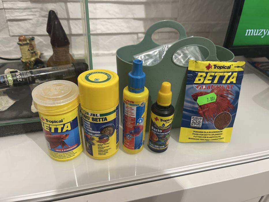 Akwarium dla rybek Bojownika wraz z wyposażeniem