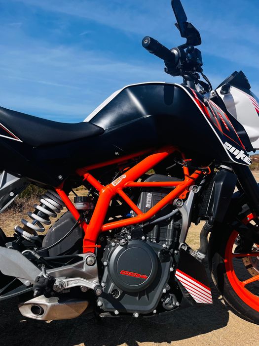Duke   390   2016
