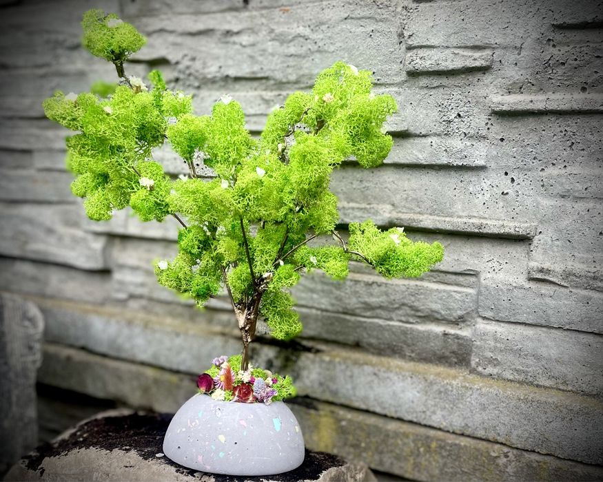 Дерево з живого моху