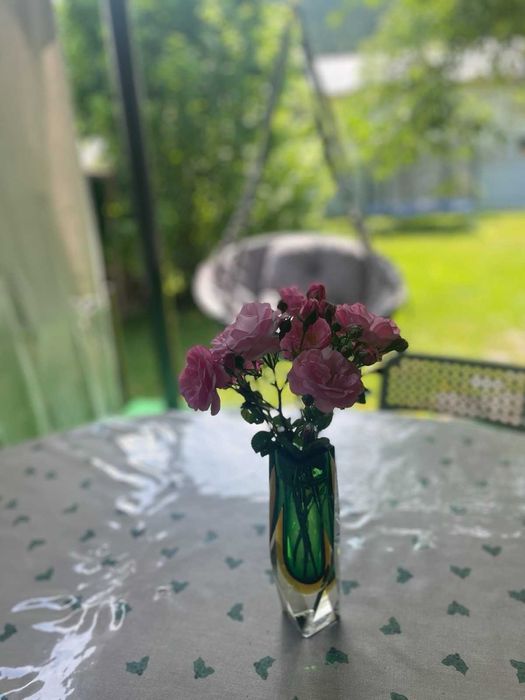 Садиба Чотири стихії з окремим двориком ЧАН, мангал, тераса в Міжгір'ї