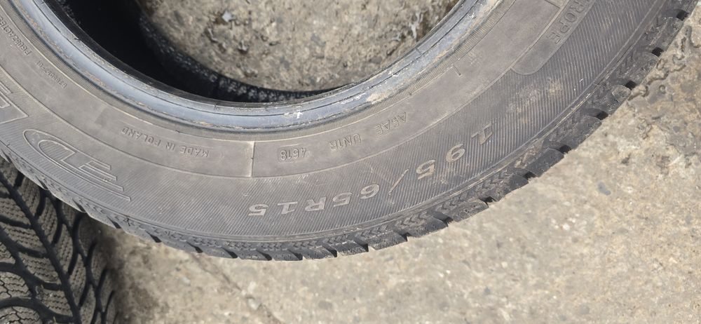 Opona zimowa Dębica Frigo 195/65 R15