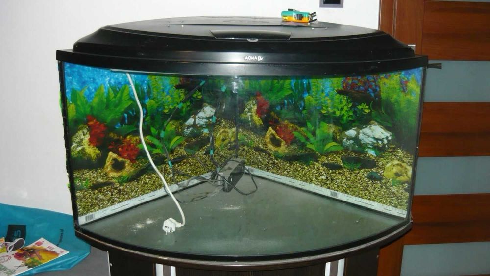 Akwarium Narożne 280 litrów + szafka i osprzęt Rybki