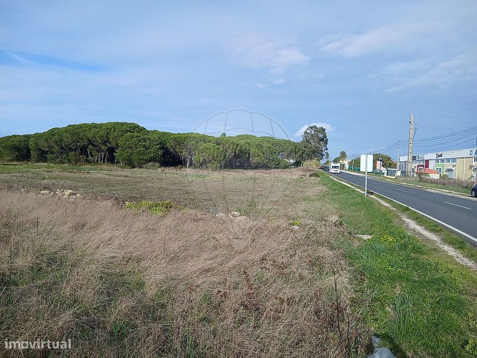 Terreno  para venda