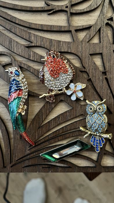 Zestaw broszek ptaki sowa papuga
