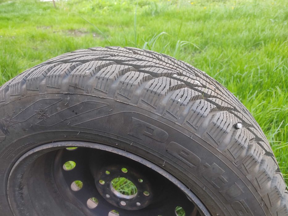 Шини колеса резина зимові Petlas, R15, 195/65, 91T.