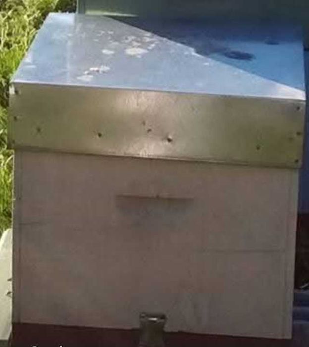 Material apícola colmeias e alças