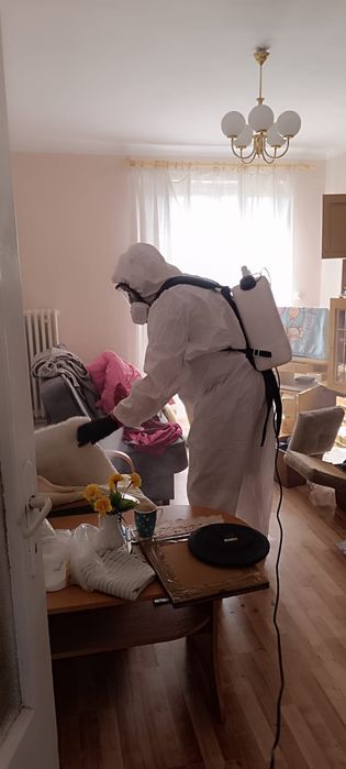 Zwalczanie Pluskiew, Karaluchów, Prusaków, Szczurów, Odgrzybianie