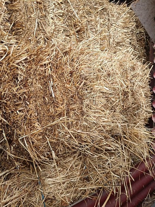 Fardos de Palha Nova para Alimentação de Animais - 1,10m
