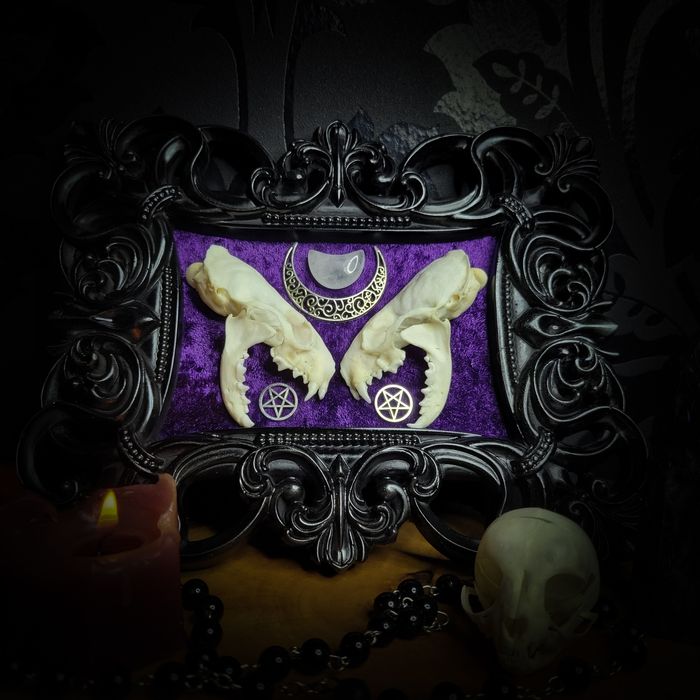 Rama gotycka czaszka norki