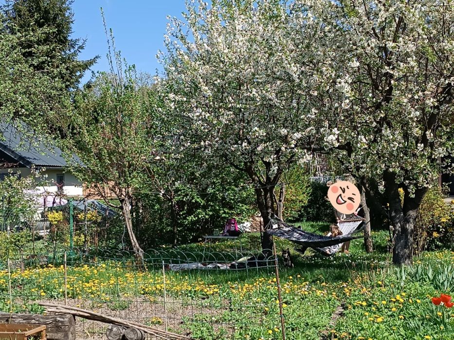 Sprzedam ogródek działkowy