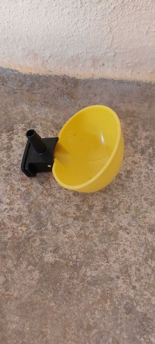 Bebedouros, tubo e acessórios