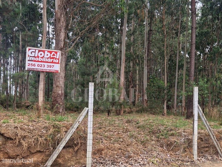 Terreno para Construção São João de Ver
