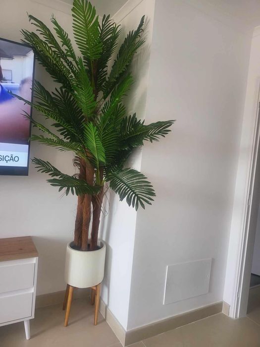 Palmeiras artificiais lindissimas para decoracoes