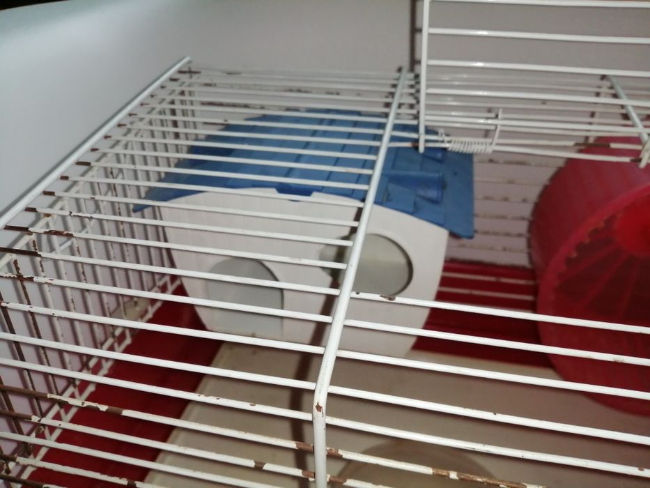 Gaiola para hamster com acessórios