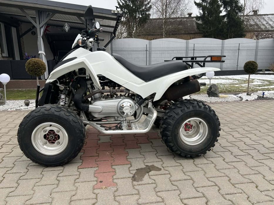 Dinli 300 Automat Homologacja