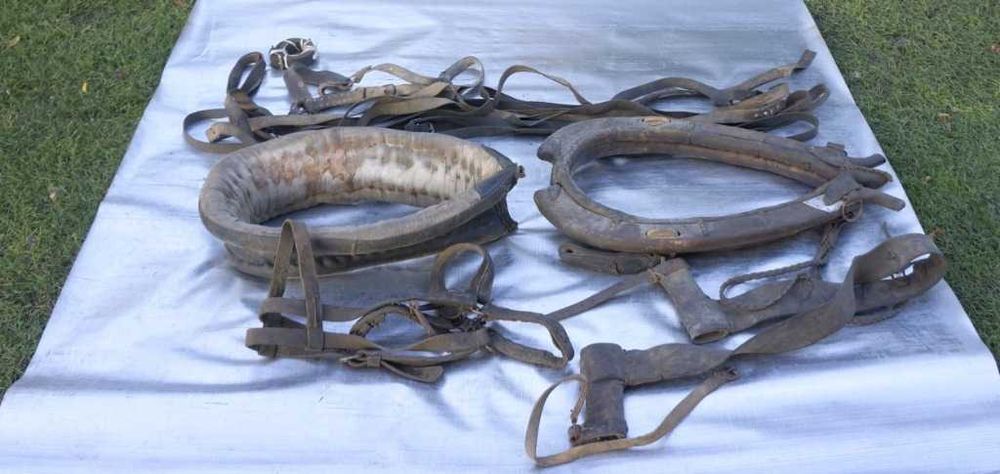 stara uprząż końska