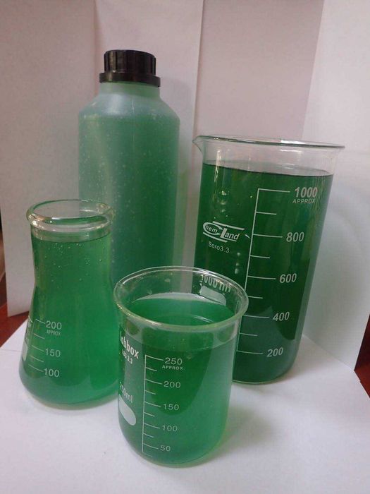 Fitoplankton morski / Nannochloropsis - 1500 ml - akwarium morskie