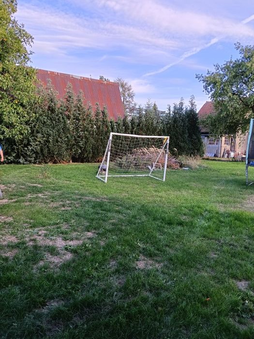 Zdjęcie 7