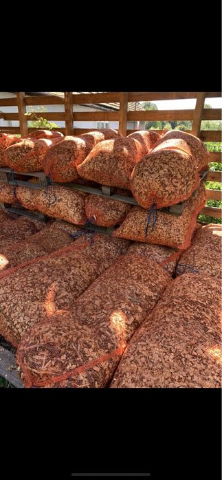 Zrębka liścista 100L WYSYŁKA DOWÓZ cena z VAT