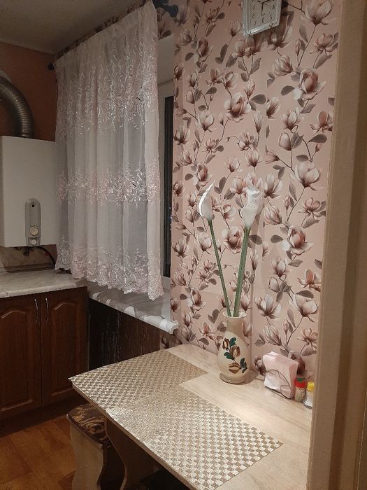 1-к квартира подобово у центрі