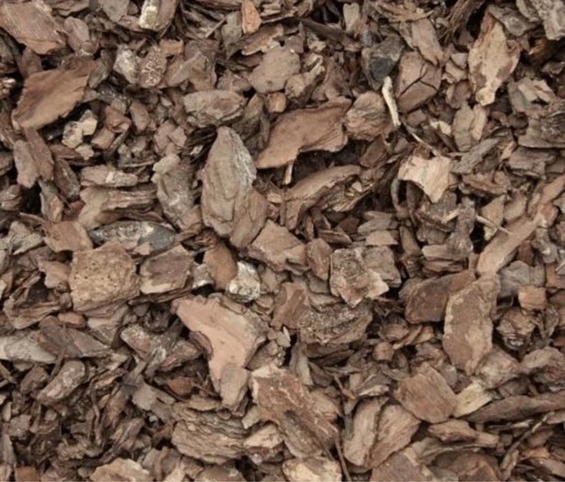 Kora sosnowa 60l Średnia Gruba Bardzo gruba wybierana recznie Premium
