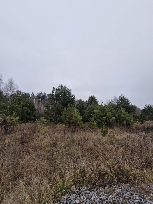 Продається земельна ділянка в Озерному.