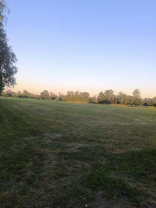 Sprzedam działkę orną/ łąkę