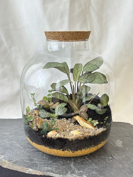 Terrários fechados