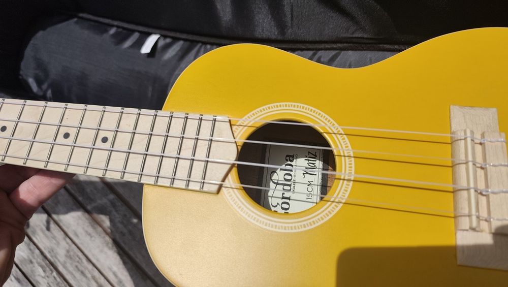 Ukelele Concerto Córdoba