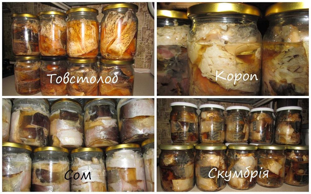 Філе лосося  0,5 кг в Автоклаві