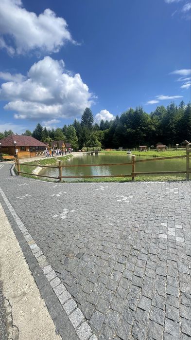 Будиночок в Карпатах ,біля лісу