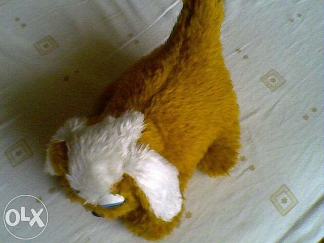Cão de Peluche (como novo)
