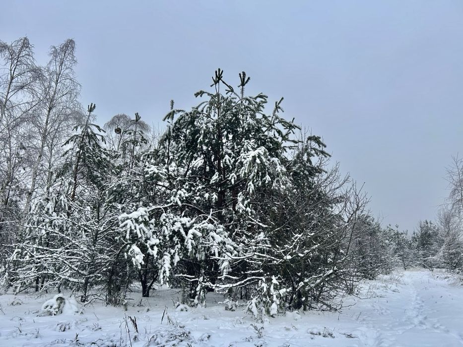 Земельна ділянка 78,7 Га !!! Фасівочка!