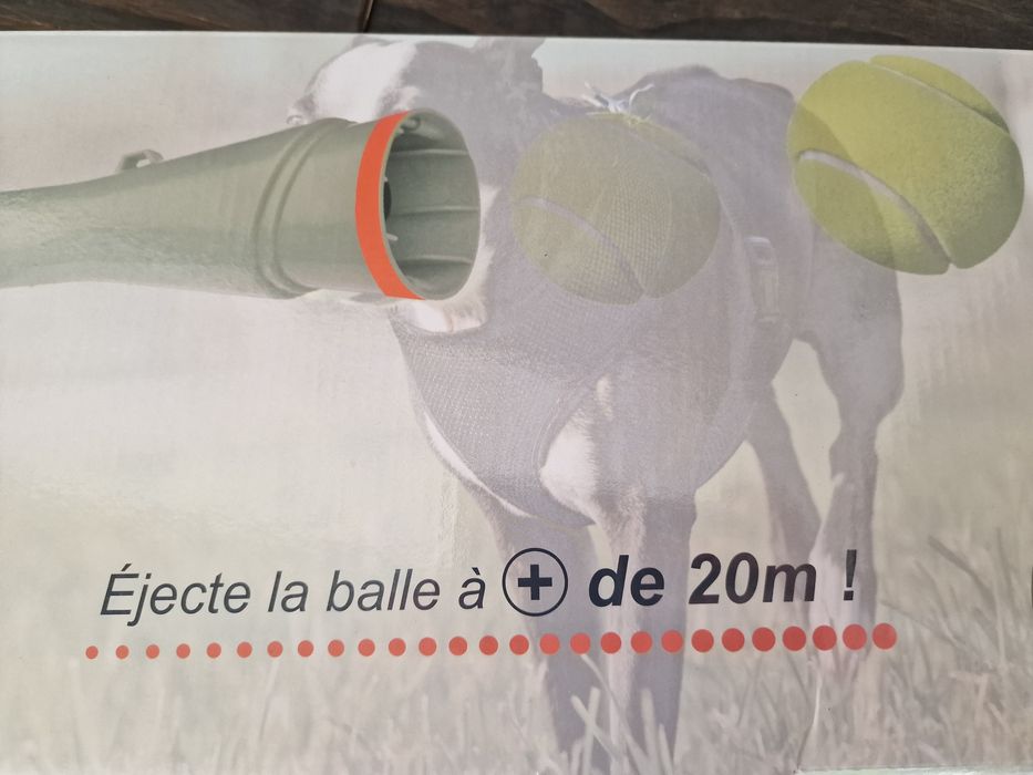 Bola ténis - lança bolas cão