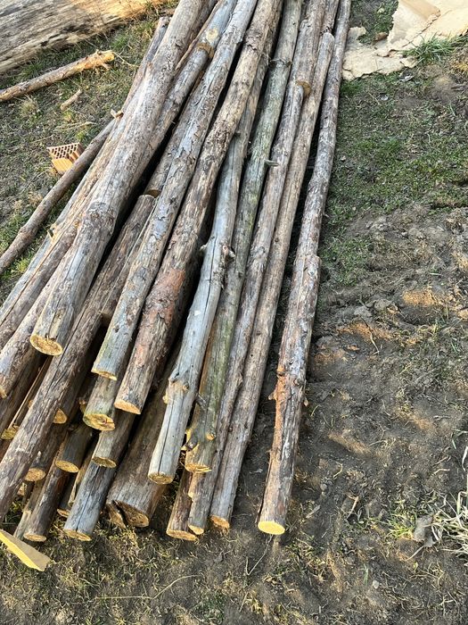 Stemple  budowlane używane