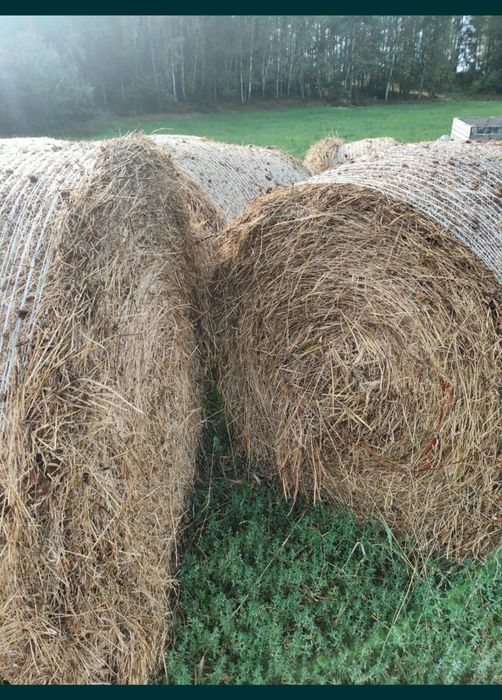Sprzedam baloty siana !