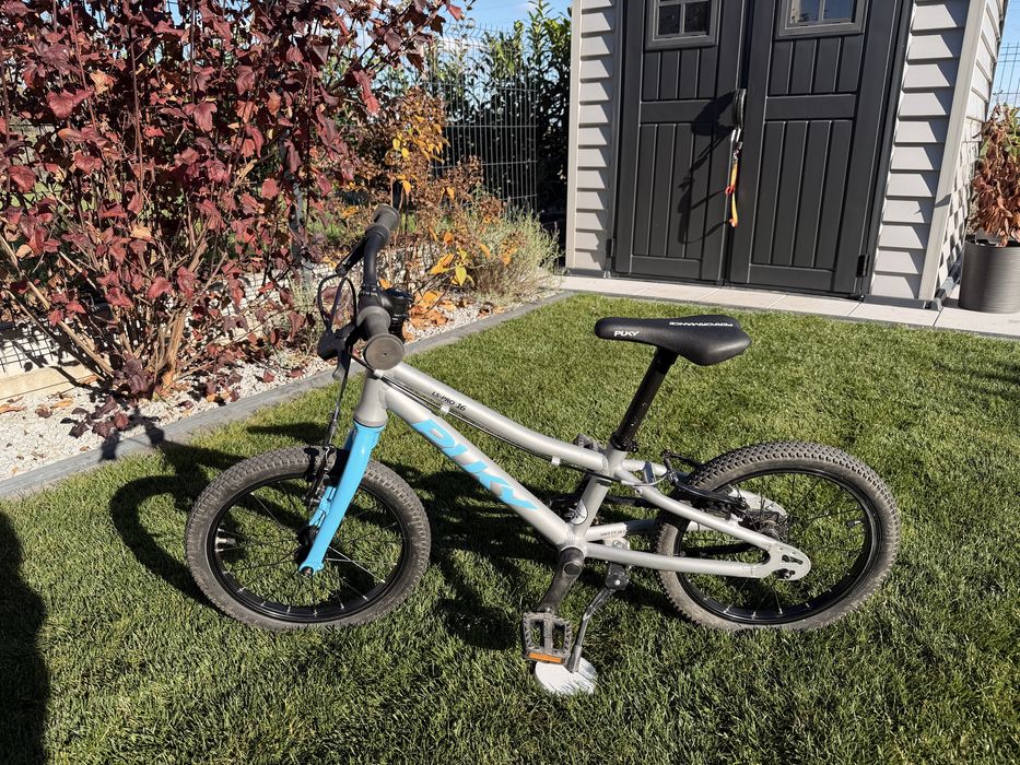 Rower Puky LS Pro 16