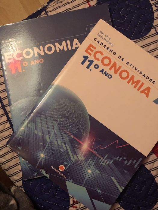 Livros 11° ano Economia