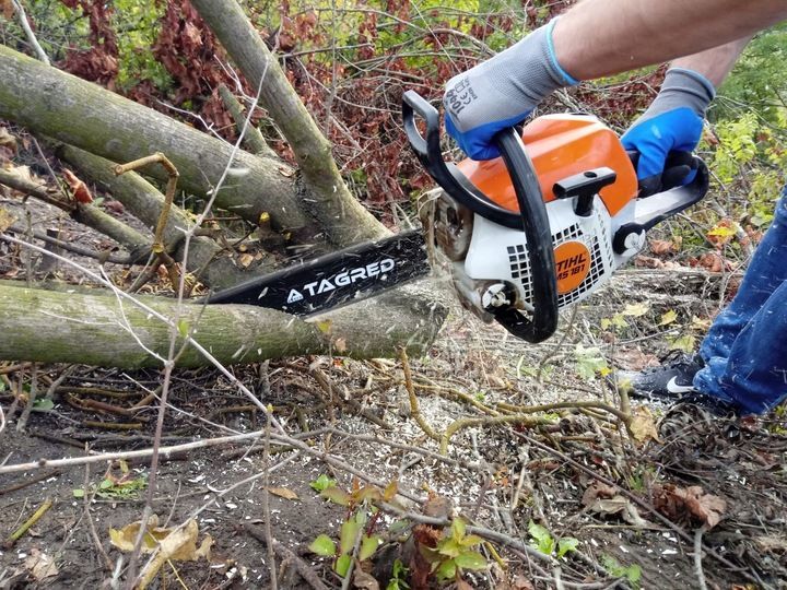 Prowadnica 14'' 2 Łańcuchy 3/8 1,3 Mm 50 Do Stihl