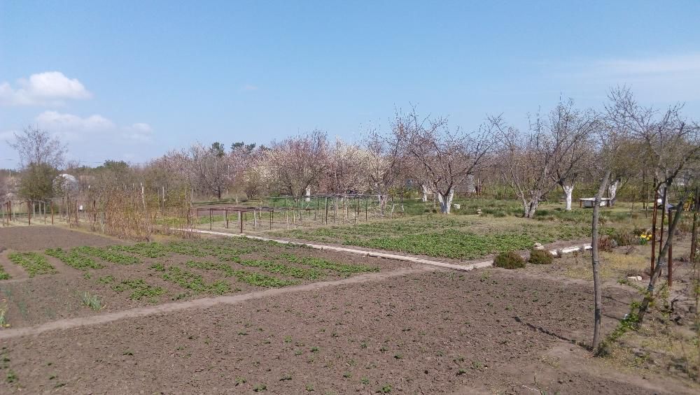 Продам Дачу Каневское 20 соток