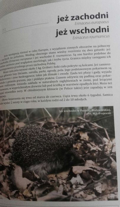 Sztuka tropienia zwierząt, W. Jędrzejewski , W. Sidarowicz | NOWA