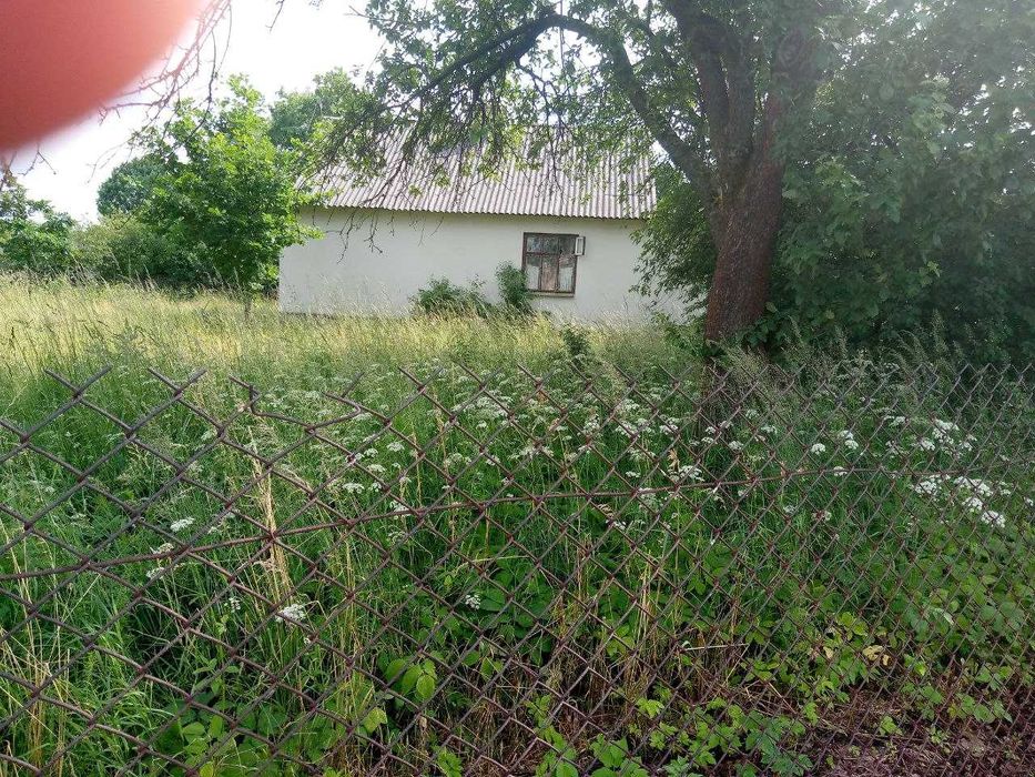 Будинок з земельною ділянкою