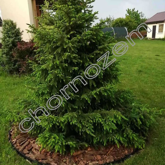 Агроткань против сорняков на метраж 90, 110 / агротканина на метраж