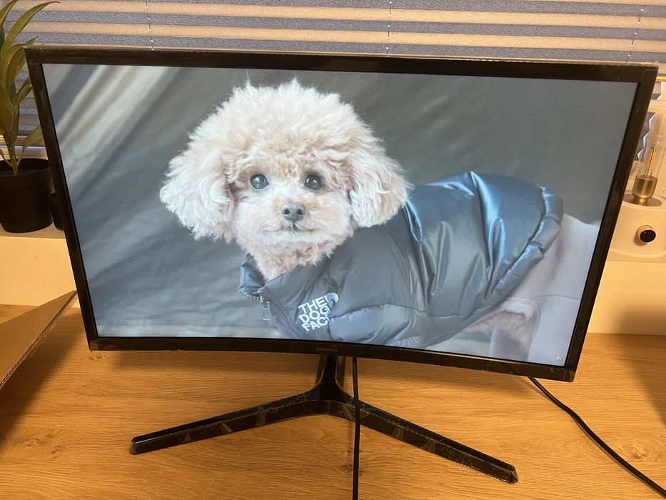 Monitor Samsung 24" Curved (LS24C366EAUXEN) – Stan idealny, jak nowy!