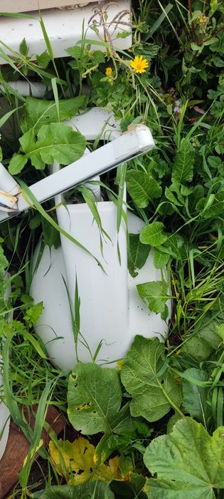 Sanitas, bidés,pia de bancada