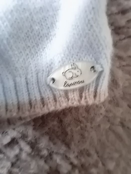 Dziecięce spodenki chłopięce z haftem lwa