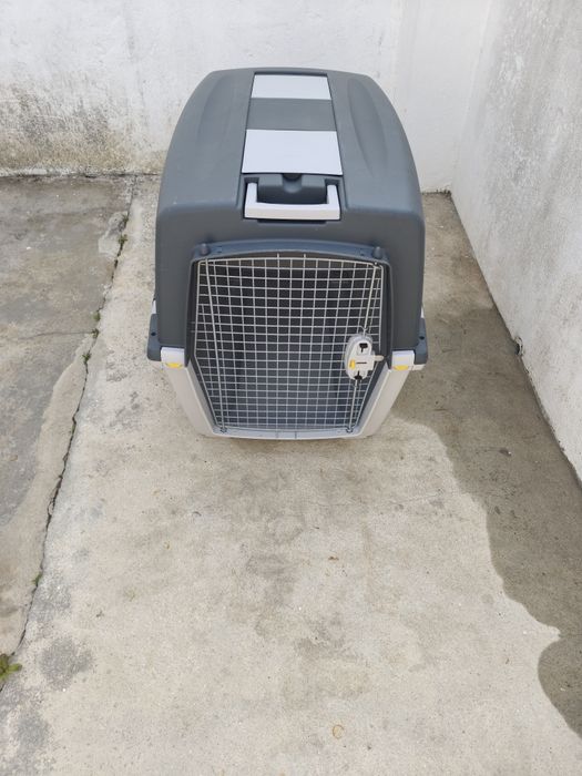 Caixa de Transporte de PET Grande(N° 7)  -/ Homologada